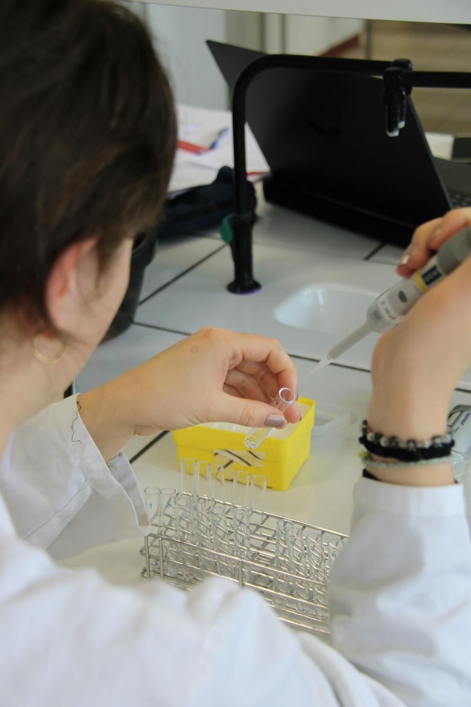 Pharmaceutical research